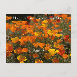 Cartão Postal Feliz Dia da Poppy Califórnia!