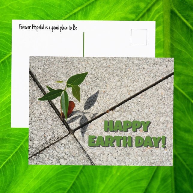 Cartão Postal Feliz Dia da Terra Plantando Novo Crescimento (Criador carregado)