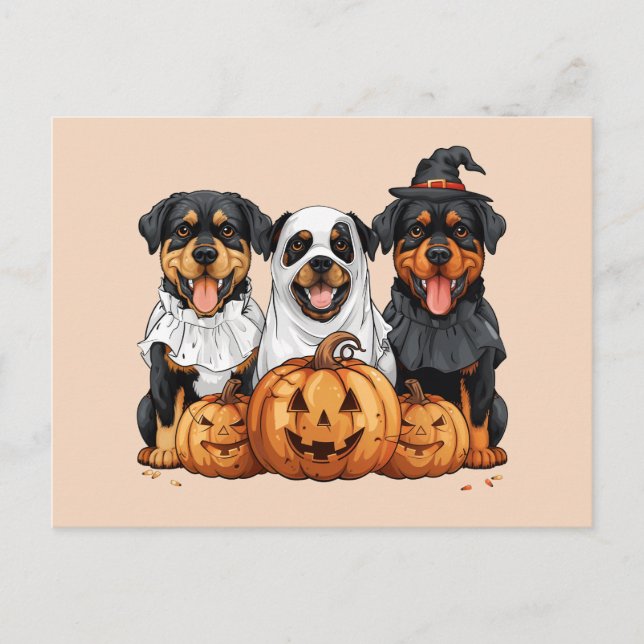 Cartão Postal Feliz Dia das Bruxas Rottweiler Cães Jack O Lanter (Frente)