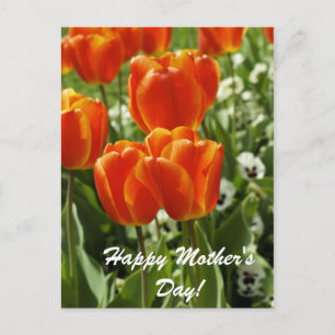 Cartão Postal Feliz Dia das Mães