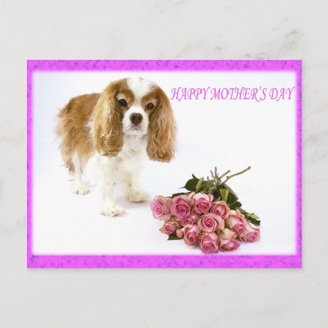 Cartão Postal Feliz Dia das Mães Cavalier Com Buquê de Rosas (Frente)