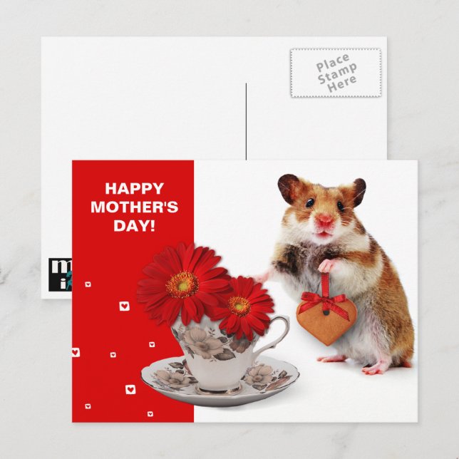 Cartão Postal Feliz Dia das Mães. Hamster Engraçado (Frente/Verso)