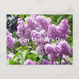 Cartão Postal Feliz Dia das Mães-Lilac Bush