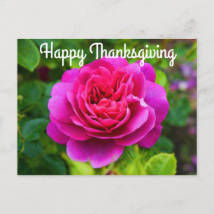 Cartão Postal Feliz Dia de Ação de Graças Princesa Anne Rosa