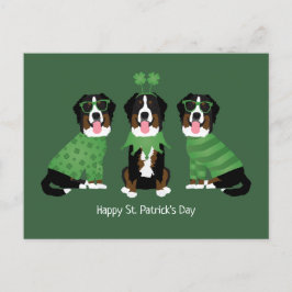 Cartão Postal Feliz Dia de São Patrício Bernese Mountain Dogs