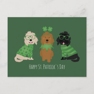Cartão Postal Feliz Dia de São Patrício Goldendoodle Dogs