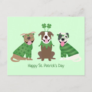 Cartão Postal Feliz Dia de São Patrício Pit Bull