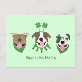 Cartão Postal Feliz Dia de São Patrício Pit Bull Cães