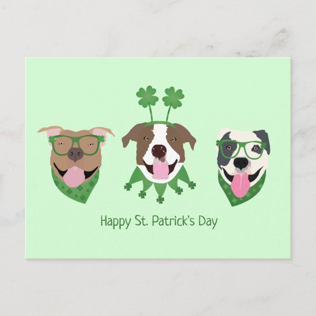Cartão Postal Feliz Dia de São Patrício Pit Bull Cães (Frente)