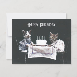 Cartão Postal Feliz Dia do Gatinho Gatos Fofos Aniversário Vinta