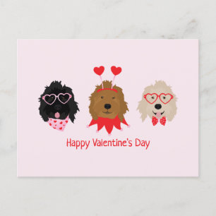 Cartão Postal Feliz Dia dos Namorados Cachorros Mini Goldendoodl