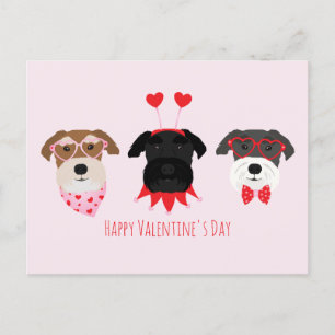 Cartão Postal Feliz Dia dos Namorados Cães Schnauzer