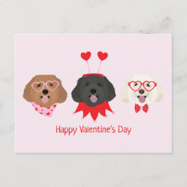 Cartão Postal Feliz Dia dos Namorados Maltipoo Cães