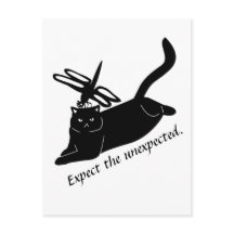 Feliz Dragonfly, Gato Irritado Esperam o Inesperad