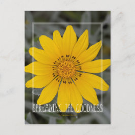 Cartão Postal Feliz Flor Amarelo - Desejando-lhe Alegria