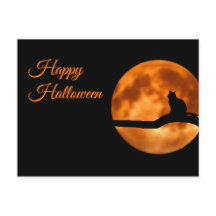 Feliz Gato de Halloween