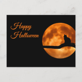 Cartão Postal Feliz Gato de Halloween