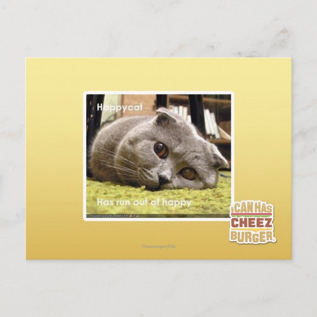 Cartão Postal Feliz gato, fora de felicidade (Frente)