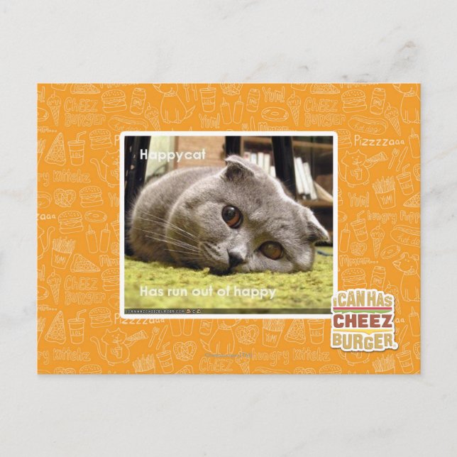 Cartão Postal Feliz gato, fora de felicidade (Frente)