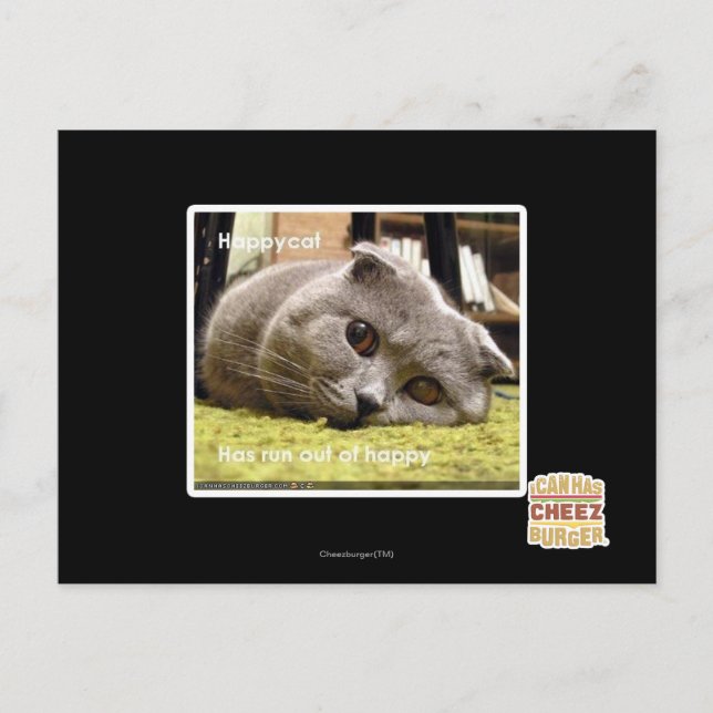 Cartão Postal Feliz gato, fora de felicidade (Frente)