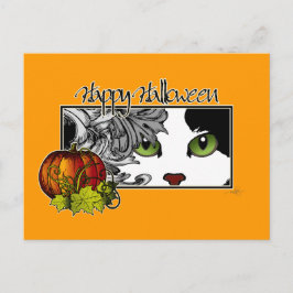 Cartão Postal Feliz Halloween Black 'n White Cat
