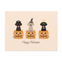 Feliz Halloween Labrador Retriever Cães Pumpkin