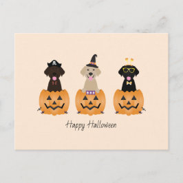 Cartão Postal Feliz Halloween Labrador Retriever Cães Pumpkin
