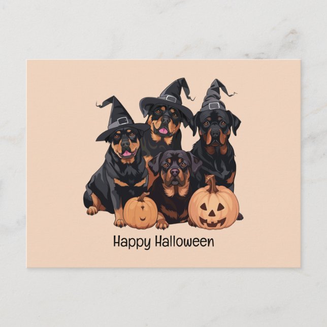 Cartão Postal Feliz Halloween Rottweiler Cães Jack O Lanterna (Frente)