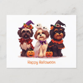 Cartão Postal Feliz Halloween Shih Tzu Dogs