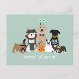 Cartão Postal Feliz Halloween Spooky Figurinos De Pet