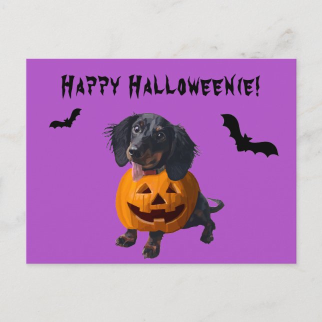 Cartão Postal Feliz Halloweenie Dachshund Wiener Cog Engraçado (Frente)