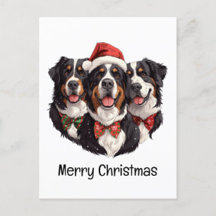 Cartão Postal Feliz Natal Bernese Mountain Dogs
