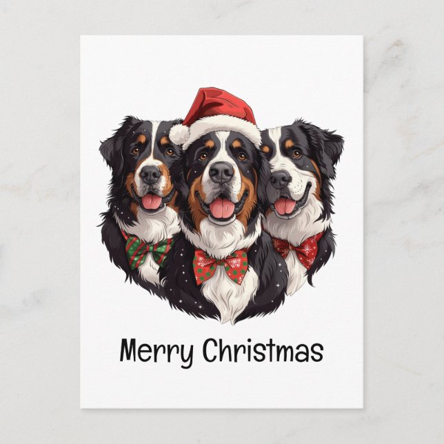 Cartão Postal Feliz Natal Bernese Mountain Dogs (Frente)