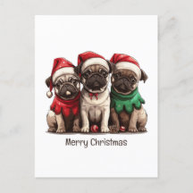Feliz Natal Cachorros
