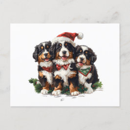 Cartão Postal Feliz Natal Cães de Montanha Berneses