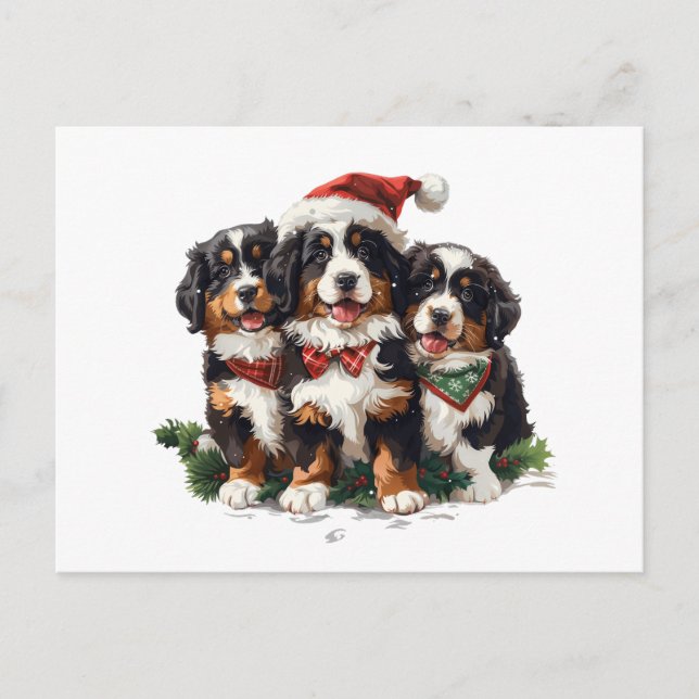 Cartão Postal Feliz Natal Cães de Montanha Berneses (Frente)