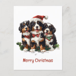 Cartão Postal Feliz Natal Cães de Montanha Berneses