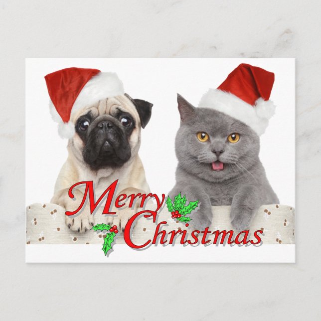 Cartão Postal Feliz Natal de Papais noeis Gato e Cão (Frente)