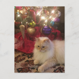 Cartão Postal Feliz Natal e Feliz ano novo