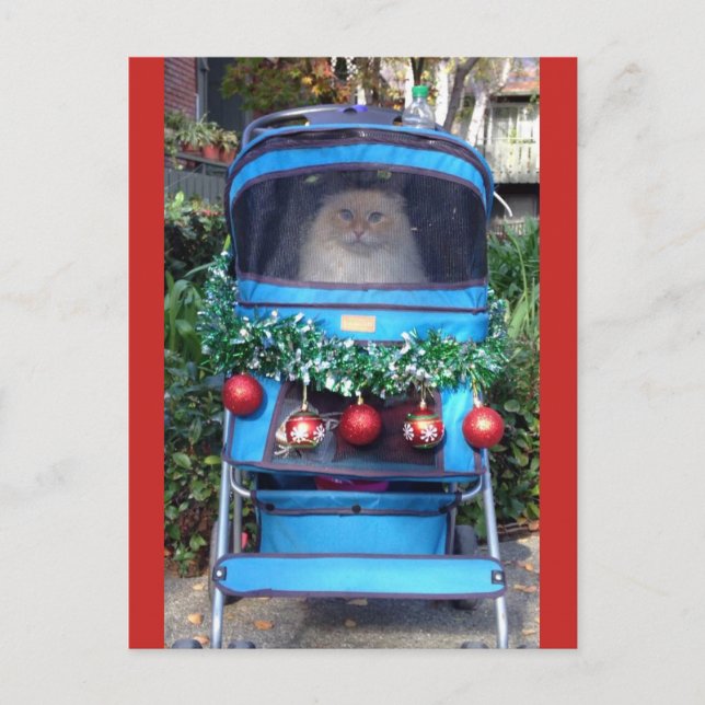 Cartão Postal Feliz Natal e Feliz ano novo (Frente)