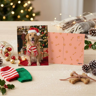 Cartão Postal Feliz Natal Festivo Cão de Água