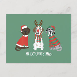 Cartão Postal Feliz Natal - Grande Dane Dogs