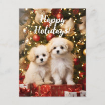 Feliz Natal para Cachorros Felizes