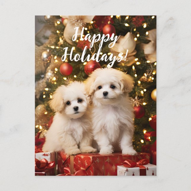 Cartão Postal Feliz Natal para Cachorros Felizes (Frente)