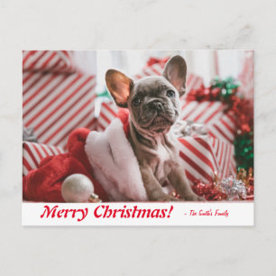 Cartão Postal Feliz Natal Personalizado Cachorro Francês