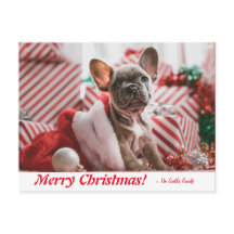 Feliz Natal Personalizado Cachorro Francês
