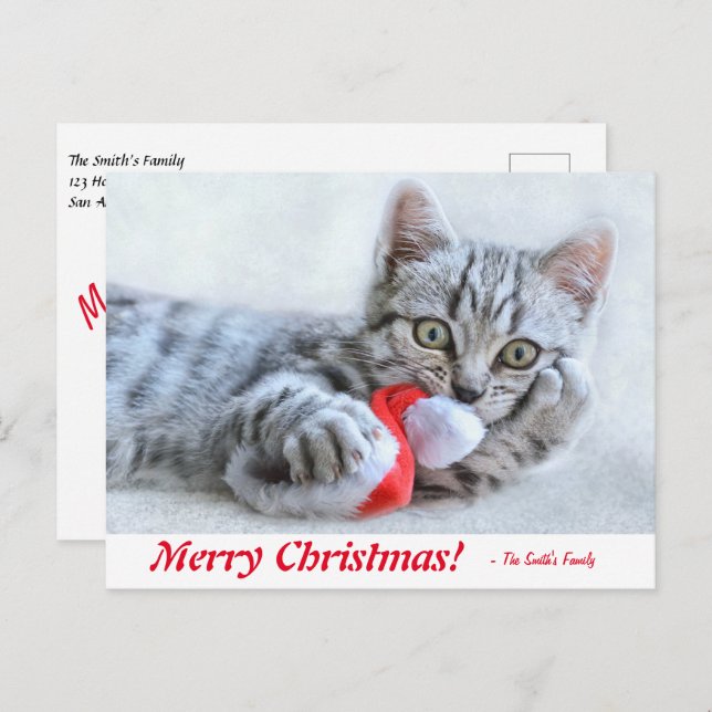 Cartão Postal Feliz Natal Personalizado Kitten com Papai Noel (Frente/Verso)