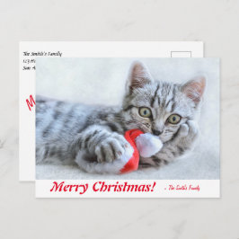 Cartão Postal Feliz Natal Personalizado Kitten com Papai Noel