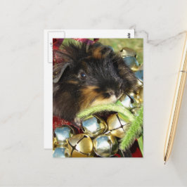 Cartão Postal Feliz Natal Porquinho-da-Índia