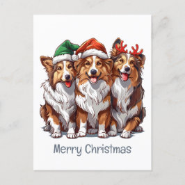 Cartão Postal Feliz Natal Shetland Sheepdog